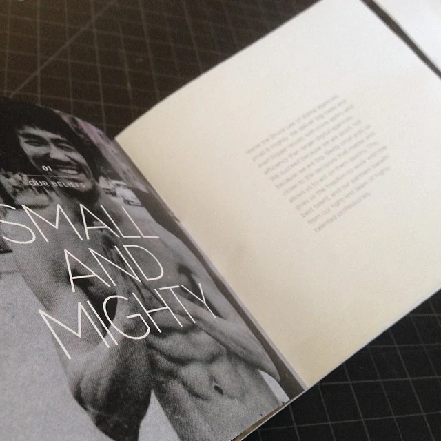 Agency print booklet, “Small and Mighty” spread