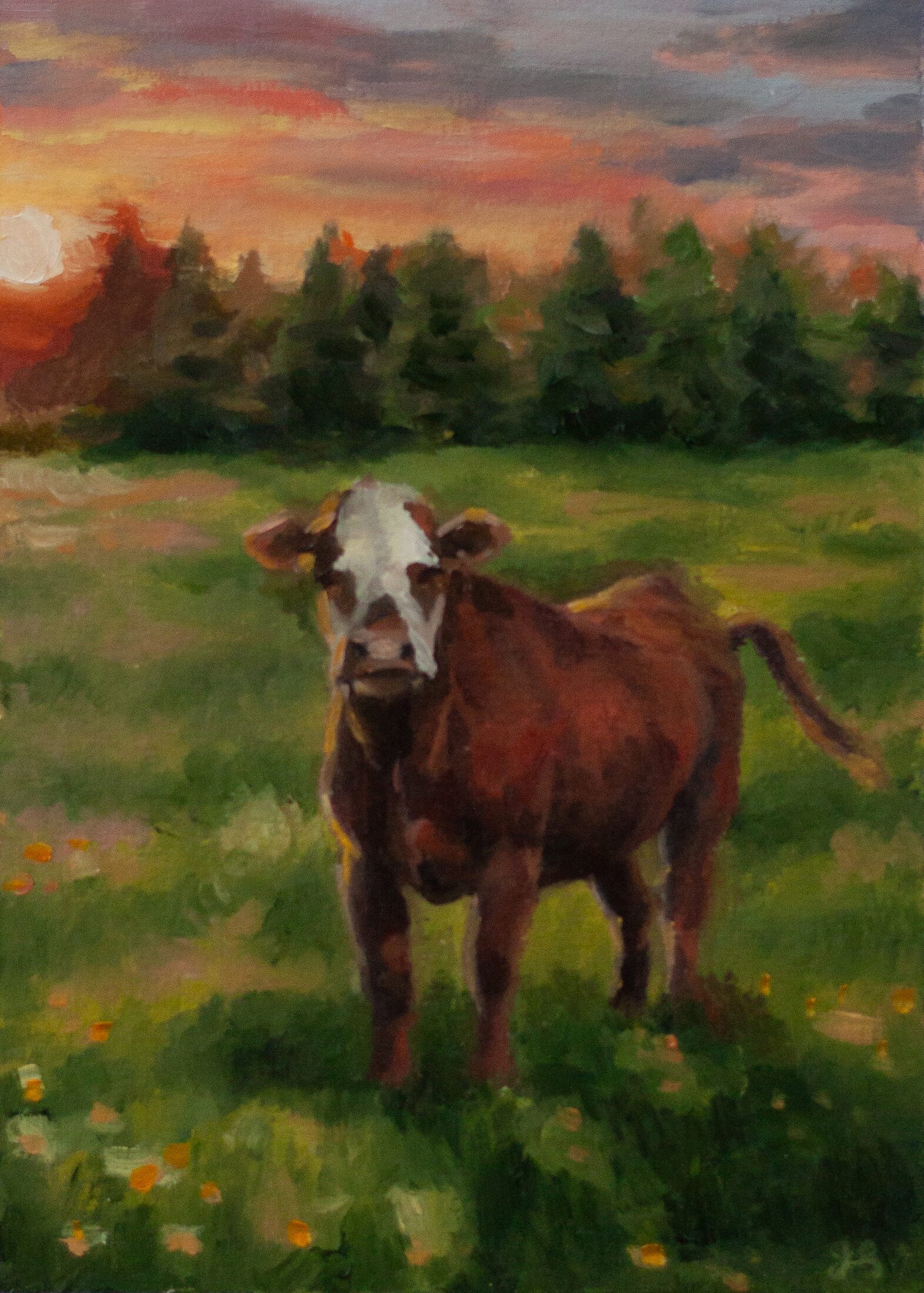 STUDY – COW ON HOOVER — oil painting by Leeann Sheely